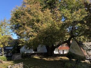 Prodej rodinného domu, Strašín - Maleč, 200 m2