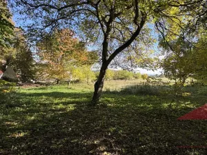 Prodej rodinného domu, Strašín - Maleč, 200 m2