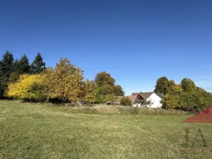 Prodej rodinného domu, Strašín - Maleč, 200 m2