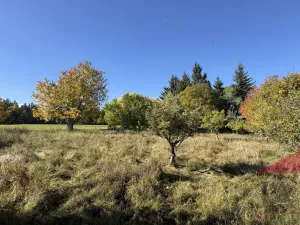 Prodej rodinného domu, Strašín - Maleč, 200 m2