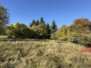 Prodej rodinného domu, Strašín - Maleč, 200 m2