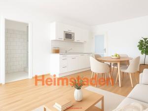 Pronájem bytu 1+kk, Ostrava - Poruba, Opavská, 19 m2