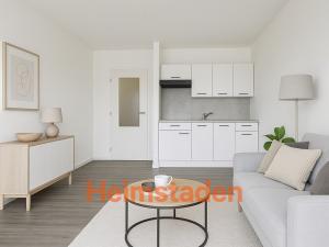 Pronájem bytu 1+kk, Frýdek-Místek - Místek, Ostravská, 25 m2