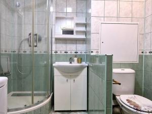 Pronájem bytu 2+kk, Litoměřice - Předměstí, Smetanova, 42 m2