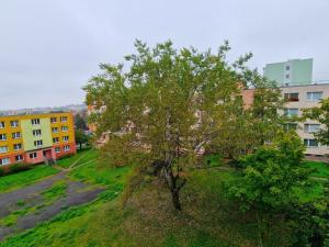 Pronájem bytu 2+kk, Litoměřice - Předměstí, Smetanova, 42 m2