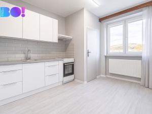 Prodej bytu 3+1, Velký Újezd, Nechvátalova, 68 m2