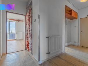 Prodej bytu 3+1, Velký Újezd, Nechvátalova, 68 m2
