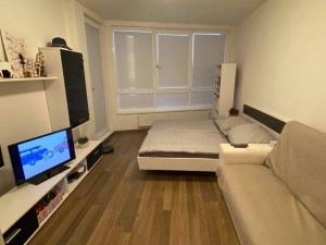 Pronájem bytu 2+kk, České Budějovice - České Budějovice 3, Staroměstská, 52 m2