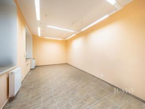 Prodej obchodního prostoru, České Budějovice - České Budějovice 1, nám. Přemysla Otakara II., 301 m2