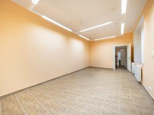 Prodej obchodního prostoru, České Budějovice - České Budějovice 1, nám. Přemysla Otakara II., 301 m2