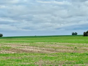 Prodej pole, Černuc - Miletice, 7167 m2