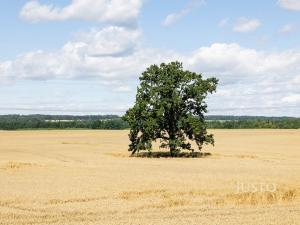 Prodej rodinného domu, Libníč, 124 m2