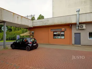 Prodej obchodního prostoru, Ústí nad Labem, Pod Parkem, 82 m2