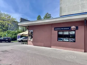 Prodej obchodního prostoru, Ústí nad Labem, Pod Parkem, 82 m2