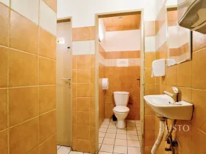 Prodej obchodního prostoru, Ústí nad Labem, Pod Parkem, 75 m2
