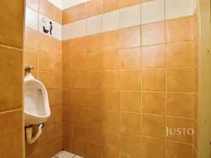 Prodej obchodního prostoru, Ústí nad Labem, Pod Parkem, 75 m2