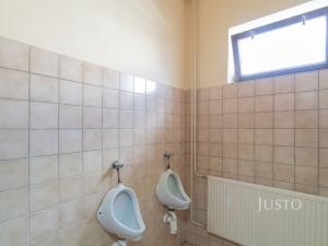 Prodej komerční nemovitosti, Třebíz, 192 m2