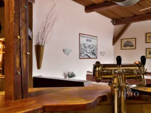 Prodej restaurace, Ústí nad Labem, Pod Parkem, 75 m2