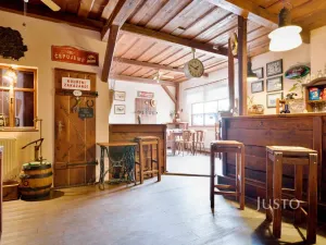 Prodej restaurace, Ústí nad Labem, Pod Parkem, 75 m2