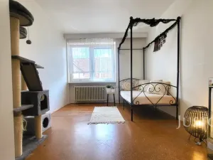 Prodej rodinného domu, Písek - Budějovické Předměstí, Jeronýmova, 231 m2