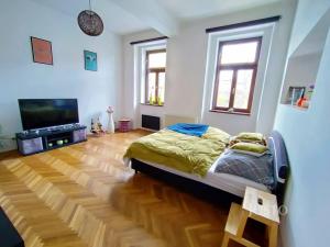 Pronájem bytu 1+1, Písek - Budějovické Předměstí, Komenského, 42 m2