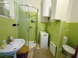 Pronájem bytu 1+1, Písek - Budějovické Předměstí, Komenského, 42 m2