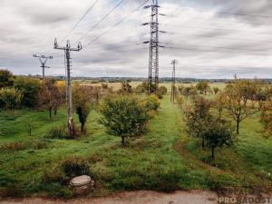 Prodej vinného sklepa, Mikulčice, 65 m2