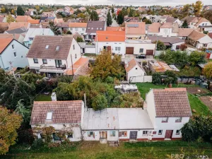 Prodej vinného sklepa, Mikulčice, 65 m2