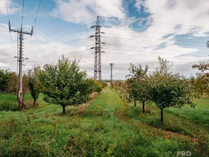 Prodej vinného sklepa, Mikulčice, 65 m2