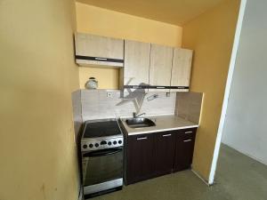Pronájem bytu 1+kk, Ostrava, Hornopolní, 33 m2