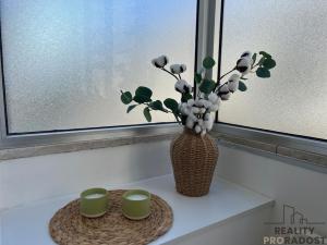 Prodej bytu 2+kk, Montesilvano,Itálie, 36 m2