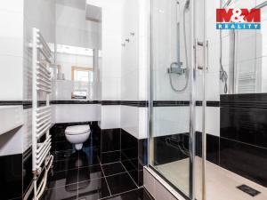 Pronájem bytu 2+kk, Praha - Břevnov, Patočkova, 45 m2
