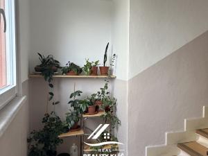 Pronájem bytu 2+1, Ostrava, Plavecká, 53 m2