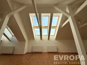 Prodej bytu 5+1, Frýdlant nad Ostravicí, Školní, 222 m2