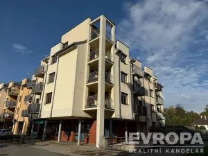 Prodej bytu 5+1, Frýdlant nad Ostravicí, Školní, 222 m2