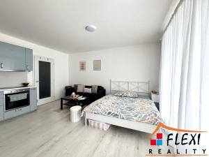 Pronájem bytu 1+kk, Ostrava, F. X. Riepla, 40 m2