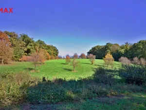 Prodej sadu/vinice, Zlín, 5599 m2