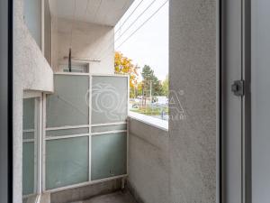 Pronájem bytu 2+1, Brno - Žabovřesky, Tábor, 65 m2