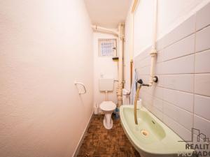 Prodej vícegeneračního domu, Klobouky u Brna - Bohumilice, 420 m2