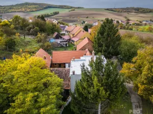 Prodej vícegeneračního domu, Klobouky u Brna - Bohumilice, 420 m2