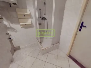 Prodej bytu 2+1, Teplice, Americká, 53 m2