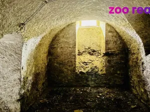 Prodej vícegeneračního domu, Rožmitál na Šumavě, 360 m2