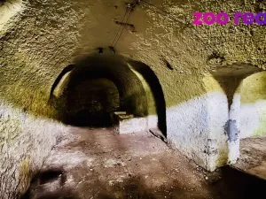 Prodej vícegeneračního domu, Rožmitál na Šumavě, 360 m2