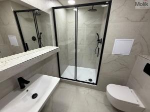 Prodej bytu 2+kk, Most, Františka Malíka, 40 m2