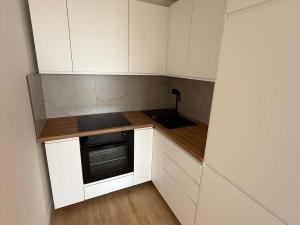 Prodej bytu 2+kk, Most, Františka Malíka, 40 m2