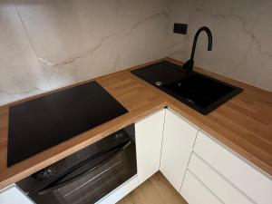 Prodej bytu 2+kk, Most, Františka Malíka, 40 m2