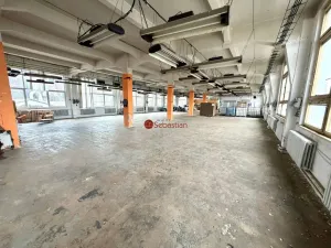 Pronájem kanceláře, Pelhřimov, Křemešnická, 1000 m2