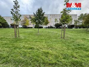 Prodej bytu 2+kk, Most, Albrechtická, 40 m2