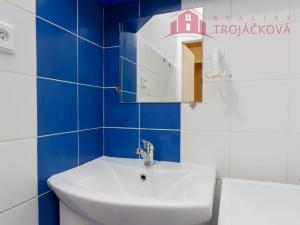 Prodej bytu 1+kk, Vigantice, 36 m2