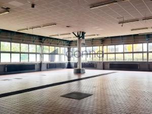 Pronájem obchodního prostoru, Praha, Za Mototechnou, 1137 m2